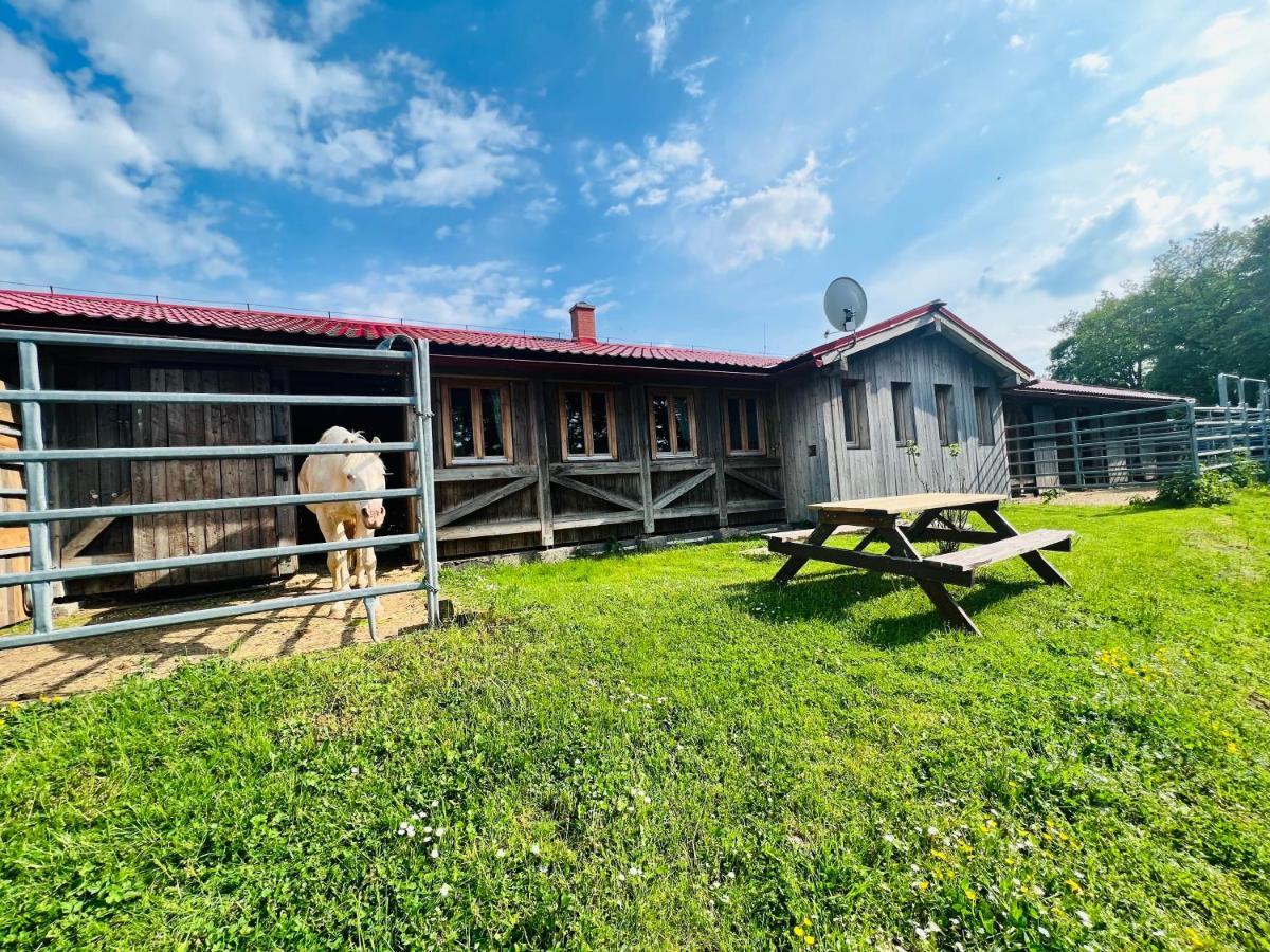 Ubytování na Ranči pod Lovošem Velemin Exterior foto